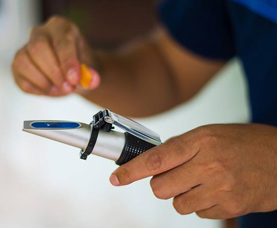 凯时尊龙人生就是博·Z6(中国)首页官网