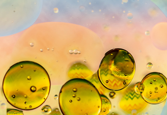 凯时尊龙人生就是博·Z6(中国)首页官网